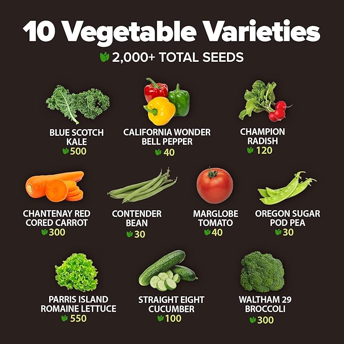 HOME GROWN Premium USA-Grown Vegetable Seeds - 10 Variety Pack with 5,800+ Non-GMO Heirloom Seeds for Planting - Garden Vegetable Seeds for Indoor & Outdoor Planting - Survival Seed Vault Kit