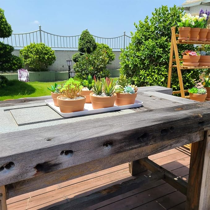 Yishang 5 Inch Shallow Terracotta Clay pots with Drain Hole,Ceramic Plant pots for Indoor/Outdoor Plants,Unglazed Bonsai Planter for Cacuts/Succulent Plants