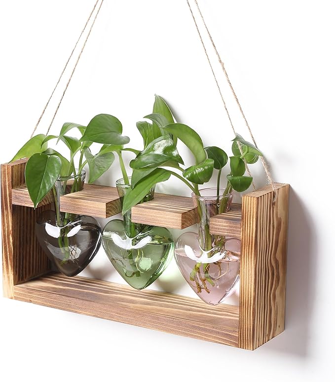 Plant Terrarium Propagation Stations Hydroponics Home Garden Decoration Gift for Women with Wooden Stand Heart Shaped Colored Glass Vase