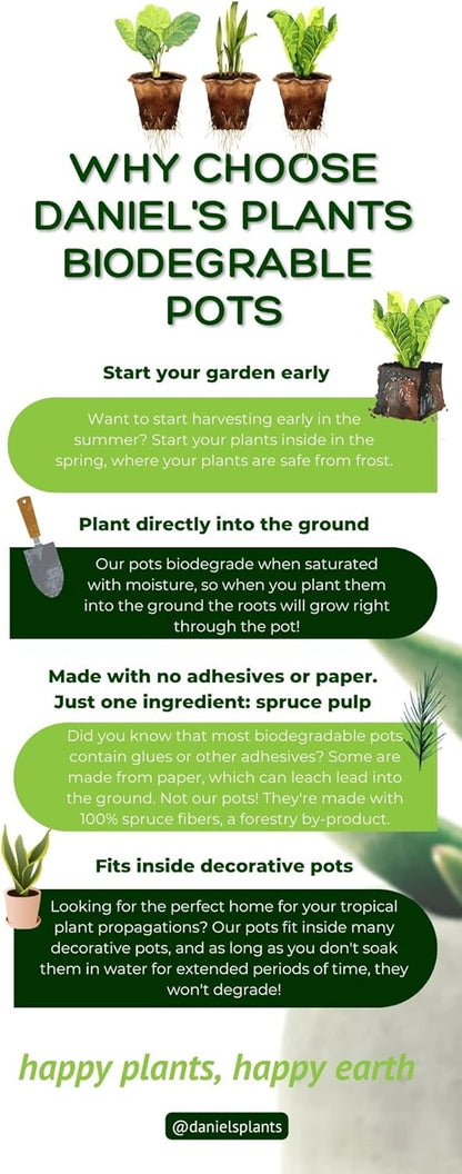 Daniel's Plants 2" Naked Pots Seedling Trays | Natural Plantable Seed Starter Trays | OMRI-Listed Biodegradable | Earth Friendly Contains No Peat | 100 Cell 2 Inch Tray (100, 2 Inch Tray)