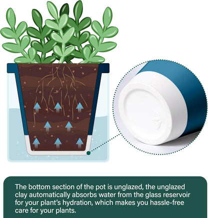 D'vine Dev 4 Inch Design Self Watering Planter for Indoor Plants, Blue Terracotta Pot with Cylinder Glass Cup, Set of 3, 37-Z-A-4-T