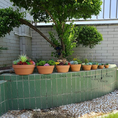 Yishang 5 Inch Shallow Terracotta Clay pots with Drain Hole,Ceramic Plant pots for Indoor/Outdoor Plants,Unglazed Bonsai Planter for Cacuts/Succulent Plants