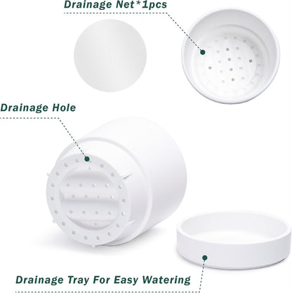 Phoenix Vine 4 Inch and 6 Inch Planter Pot with Drainage Hole & Deep Water Catch Tray Saucer, Straight Cylindrical Round Pot for Plants, Matte White, 23-A-1-Z