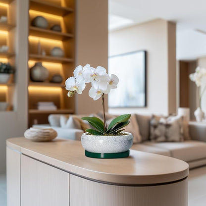 Succulent Pots - 6 Inch Ceramic Pots for Succulent Indoor Outdoor, Small Plant Pot with Drainage Hole and Saucer, Bonsai Pot, Modern Round Planter, Window Decor, Housewarming Gifts, Green