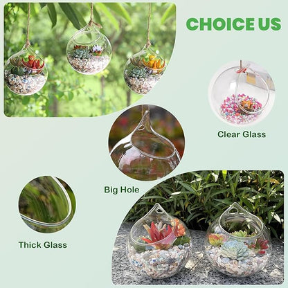 Propagation Station, Plants Terrarium, Plants Lover Gifts for Women,Plant Cutting Holder Home décor,Gifts for Women,House Warming New Home-3 Globe Shape