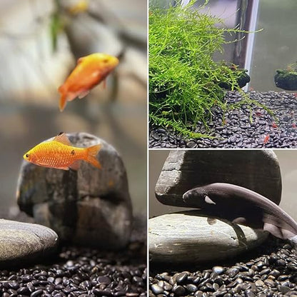 1-2.2 Inch Natural Polished Black River Rocks, 20LB Black Polished Pebbles for Garden Landscaping. Fish Tank Decorative River Rocks, Vase Filling Pebbles, Outdoor Decorative River Rocks