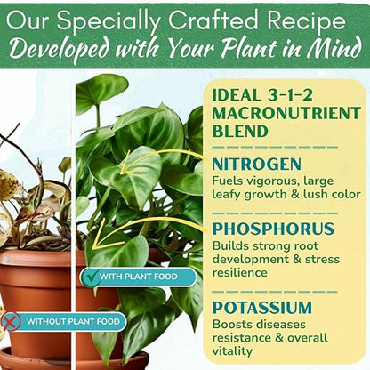 Indoor Plant Food by Houseplant Resource Center - Organic Liquid Fertilizer for Pothos, Peace Lily, Monstera, Cactus and More - 8 oz