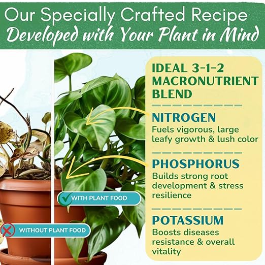 Indoor Plant Food by Houseplant Resource Center - Organic Liquid Fertilizer for Pothos, Peace Lily, Monstera, Cactus and More - 8 oz