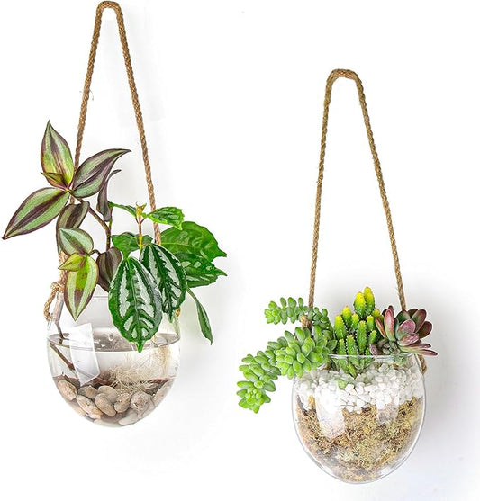 Propagation Station, Plants Terrarium, Plants Lover Gifts for Women,Plant Cutting Holder Home décor,Gifts for Women,House Warming New Home-2 Bowl Shape