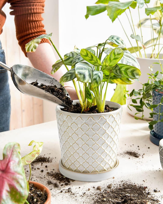 LE TAUCI Ceramic Pots for Plants, 5.4 Inch Plant Pots with Drainage Hole and Saucer, Indoor Plant Pots for Succulent, Snake Plants and Cactus, Flower Pots, Set of 2, Reactive Glaze White