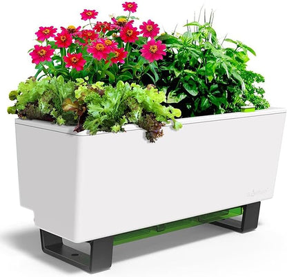 Glowpear Self-Watering Mini Bench Planter - 23.6" in Pot, Free Standing, UV Stable, Scalable, Indoor | Outdoor Pot with Water Gauge, for Home Kitchen Windowsill Gardening