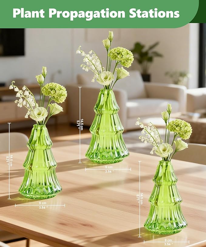 Nacome Christmas Tree Propagation Stations: 3PCS Plant Terrarium Glass Vases for Home Office Decor, for Plant Lovers Women Mom (Green)