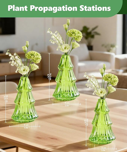 Nacome Christmas Tree Propagation Stations: 3PCS Plant Terrarium Glass Vases for Home Office Decor, for Plant Lovers Women Mom (Green)