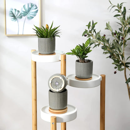 OMAYKEY 4 Inch Ceramic Plant Pot with Saucer, Creative Stripe Grey-Green Small Planters Pots with Drainage Hole and Mesh Pads for Succulent, Cactus, Herbs - Set of 4