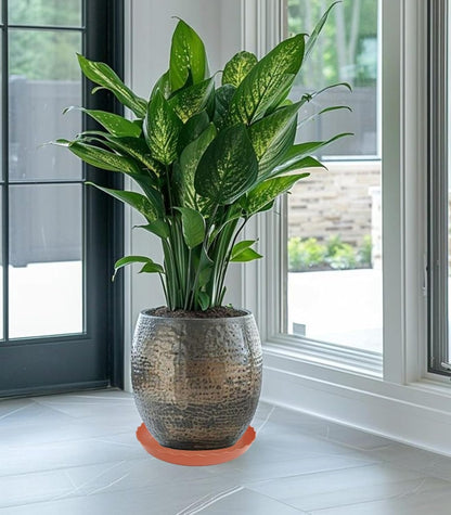 2 Pack of 14 inch Plant Saucer Plant Tray, Plastic Plant Saucer, Heavy Duty Plant Tray for Pots, Plant Saucers for Indoors Planter, Garden Water Plate Bowls for Gallon Grow Bags (Terracotta)