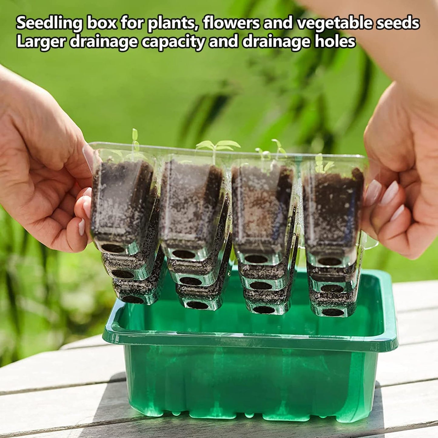 6-Pack Seed Starter Tray Kit with Grow Light, Adjustable Brightness & Timing Controller, Seedling Trays with Humidity Domes & Heightened Lids, Thicken Design, Ideal for Indoor Plant Growth