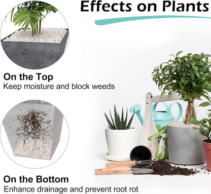 GASPRO 5lb Pebbles for Indoor Plants, Vases, Succulent, 3/8" Small Decorative White Rocks, High Polished