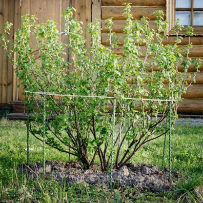 Fiberglass Eco Friendly Garden Stakes (Choose Height/Quantity) – Durable, Lightweight, Tomato, Tree, Strawberry, Plant, Support Fencing Stakes with Patterned Surface 5/16" Diameter (10, 3)