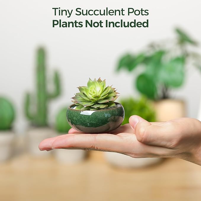 T4U 2.5 Inch Small Ceramic Succulent Planter Pot with Drainage Hole Set of 6, Ice Crack Glaze Plant Container for Cactus, Gardening Plant Gifts for Women Mom Aunt Home Office Decor