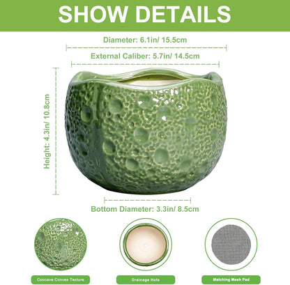 6 Inch Plant Pot - Orchid Pot with Drainage Hole, Ceramic Planter for Indoor Outdoor, Decorative Plant Pots, Modern Round Unique Flower Pots, Living Room Decor, Gifts for Women Men, Green