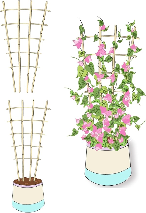 Natural Bamboo Trellis, 3Feet,3Pack,Fan-Shaped Plant Support Trellis for Outdoor and Indoor Potted Climbing Plants,Vegetables, Cucumber, Tomato, Hoya, Wisteria,Ivy,Orchid, Jasmine Monstera, Vine,