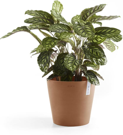 Ecopots Amsterdam Durable Modern Round Indoor/Outdoor Recycled-Based Composite Flower Pot Planter, Terracotta Color, 10"