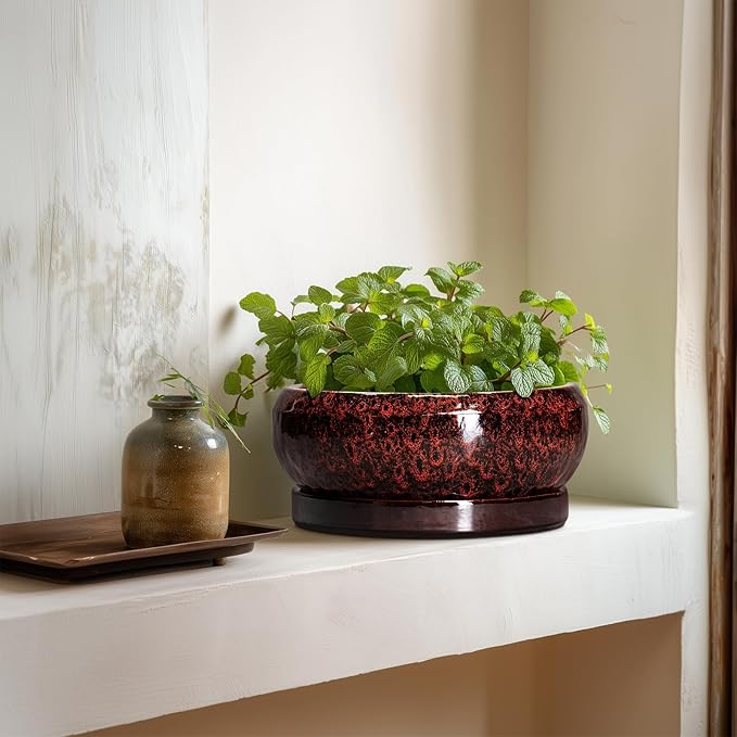 Bonsai Pots - 8 Inch Ceramic Succulent Planters for Indoor Outdoor, Round Shallow Planters with Drainage Hole and Saucer, Succulent Planter Bowl, Home Decor, Housewarming Gifts, Red