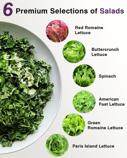 Salad Greens Seed Pod Kit for AeroGarden, iDoo, Ahopegarden, MUFGA with Red/Green Romain/American Fast/Buttercrunch/Parris Island Lettuce, Spinach - Compatible with All Garden(7-Pod)