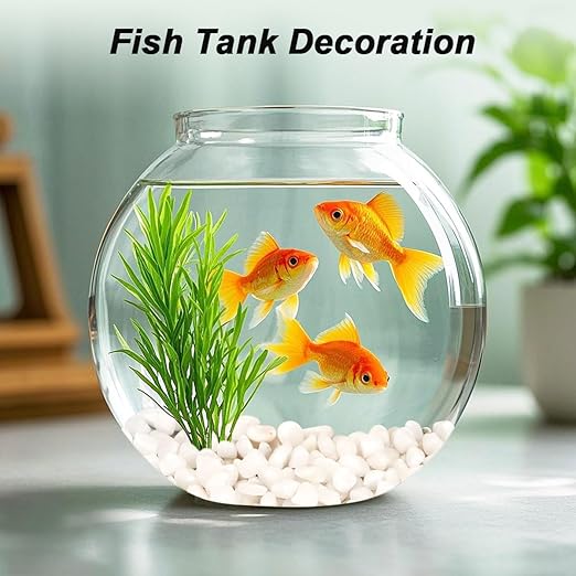 Landscaping Pebbles River Rocks Decorative Ornamental Pebbles Garden Landscaping Stones Gravel Filler for Home Decoration Flower Bed Fish Tank Plants Vases Succulents (1, White, 1 Pound)