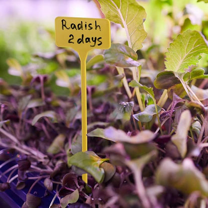 50 Pack Outdoor Tall Plant Labels, Large Waterproof Plastic Plant T-Type Tags, Durable Nursery Garden Markers, Perfect for Herbs, Flowers, Vegetable and Potted Plants