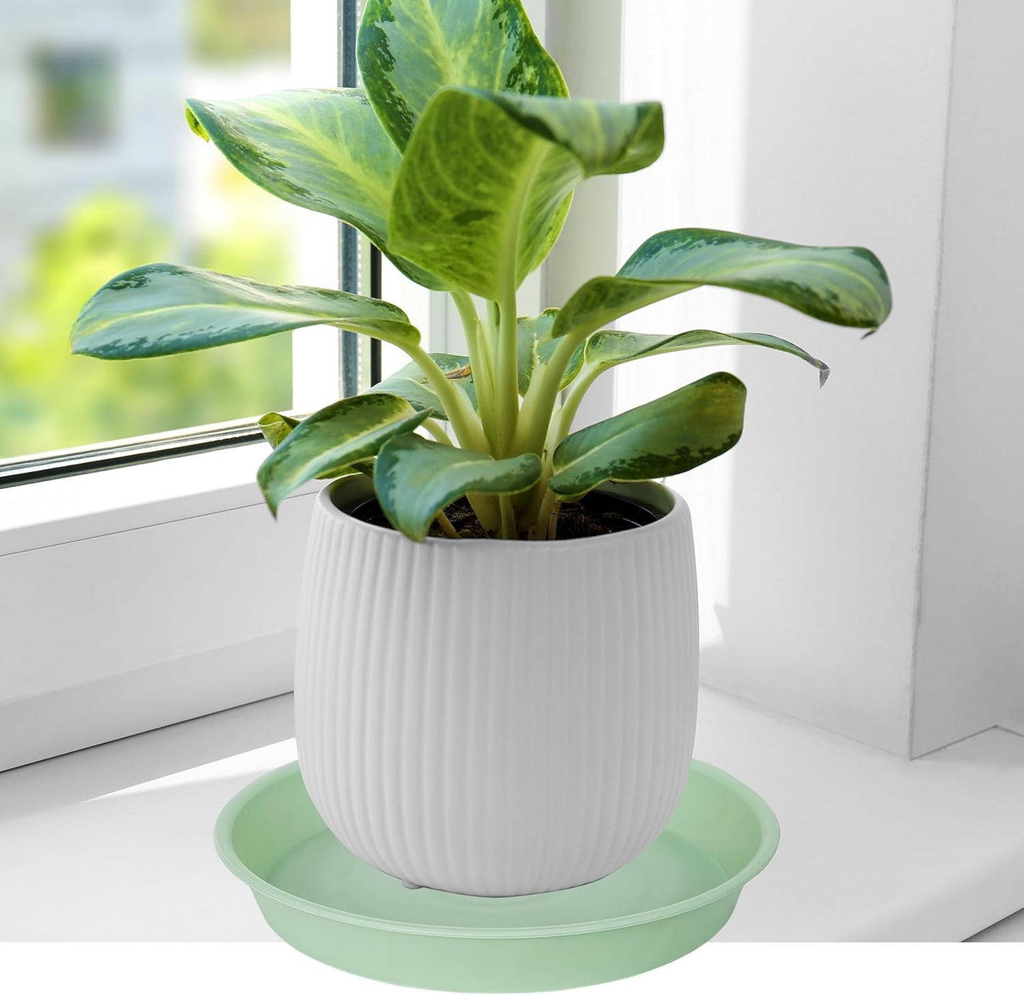 4 Pack of 14 inch Plant Saucers Bird Bath Bow Round, Plastic Plant Saucer Tray for Pots, White Planters for Indoor Plants, Plant Trays for Planter 12-15" (14", Light Green)