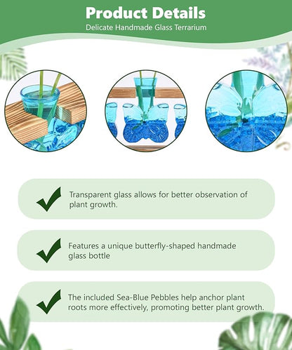 Nacome Butterfly Vase Propagation Stations: Glass Plant Terrarium with Wooden Stand for Home Office Desk Decor, Unique Gifts for Plant Lovers Women Mom (Blue)