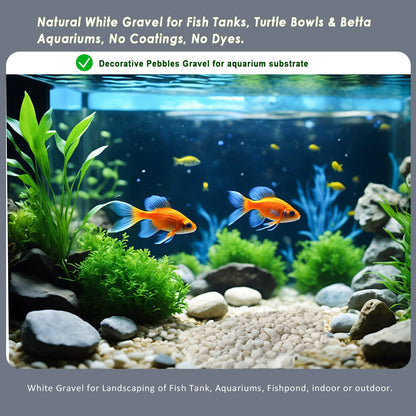 15LB White Gravel for Succulents and Cactus, 0.6 Inch Natural Unpolished Crushed River Rocks for Plants, Vases, Aquariums, Terrariums, Planters, Outdoor Gardening & Landscaping Decorative Stones