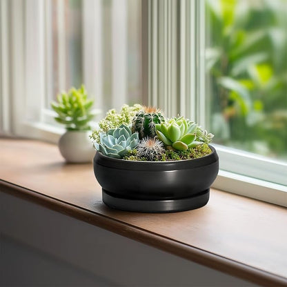 Bonsai Tree Pots Small - 6 Inch Ceramic Succulent Pots for Indoor Plants Outdoor, Round Planter with Drainage Hole and Saucer, Shallow Planter Bowl, Bathroom Decor, House Warming Gift, Black