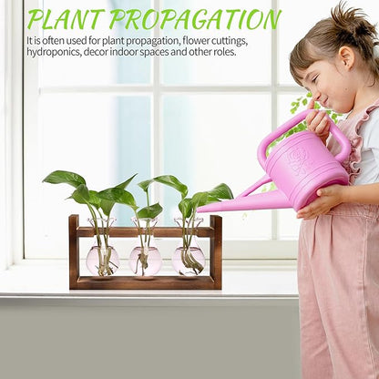 Plant Propagation Station Plant Terrarium Unique Birthday Gifts for Women Home Office Decor Planter with Wooden Stand - 3 Bulb Glass Vase