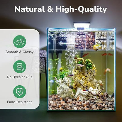 GreatBuddy 2.5-lb River Rocks, Decorative Rocks for Indoor Plants, 1-1 3/4 Inches Natural Polished Pebbles for Aquarium, Vases, Potted Plants, Garden Landscaping Outdoor, Mixed Color Stones