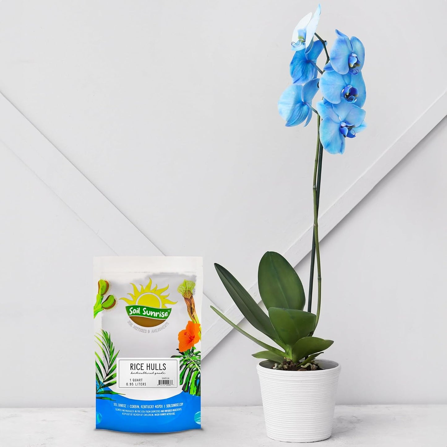 Organic Horticultural Grade Rice Hulls (1 Quart); All-Natural Soil Amendment for Houseplants, Gardening, Seed Starting & Chicken Bedding