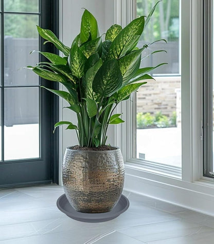 4 Pack of 16 inch Plant Saucer, Large Plant Tray, Heavy Sturdy Plant Drainage Tray for Indoors, Bird Bath Bowls, Sturdy Plastic Pot Tray for Planter 14 15 16"(Gray)