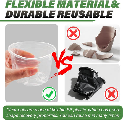 Clear Seedling pots 100-Pack 3.2 Inches Round for Seeds Starter Pots, Seeds Germination Transparent Clean Pots with Drainage Holes(100 Pcs, 3.14Inch)