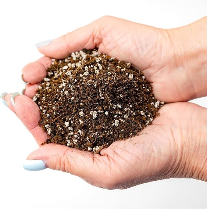 Premium Organic Seed Starter Soil - 2 Quart - All-Purpose Organic Potting Soil for Happy Seedlings and Plants by Gardenera