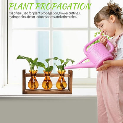 Plant Propagation Station Plant Terrarium Unique Birthday Gifts for Women Home Office Decor Planter with Wooden Stand - 3 Bulb Glass Vase