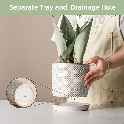 5.8 Inch Plant Pots: Ceramic Planter with Drainage Hole & Saucer - Flowerpot for Indoor & Outdoor Plants - Beaded Embossed Design White - with Separate Tray