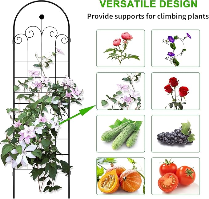LZRS 2 Pack 71x20in Rustic Iron Arch Decoration Garden Trellis with Black Metal Coating – Perfect for Supporting Climbing Plants Outdoor, Roses, Vines, Flowers, and Vegetables.