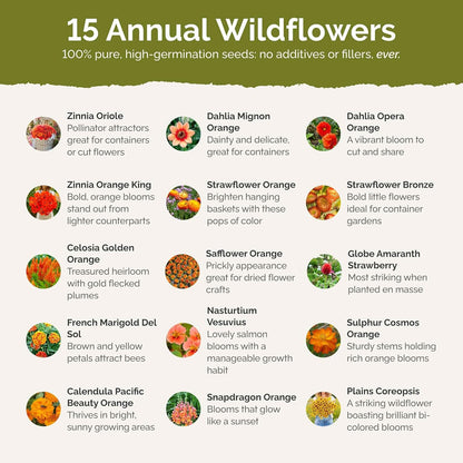 Eden Brothers Orange You Glad Flower Mixed Seeds for Planting, 5 lb, 2,400,000+ Seeds with Dahlia, Double Strawflower | Attracts Pollinators, Plant in Spring or Fall, Zones 3, 4, 5, 6, 7, 8, 9, 10