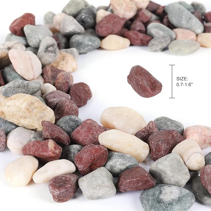 11lbs Natural River Rocks, Polished Pebbles for Plants Garden, 1-2 inch Decorative Countryside Stones, Ideal for Fish Tank, Vases, Crafting, Garden Landscaping Rocks,Countryside