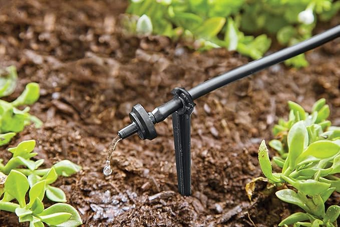 Raindrip R560DP Automatic Drip Irrigation Watering Kit with Timer for Containers and Hanging Baskets, Waters up to 20 Plants, Includes Timer with Customizable Settings and 20 PC Drippers Black