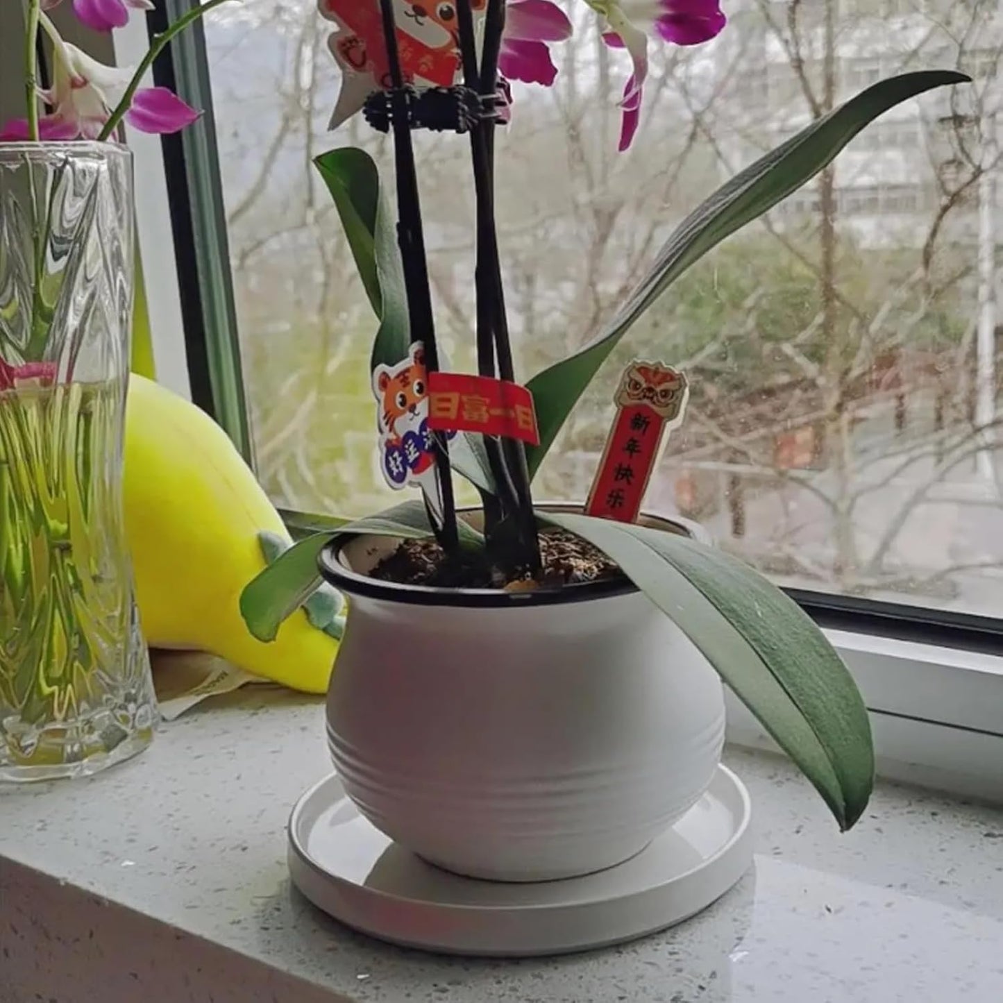 Ceramic Plant Saucer Pot Tray White 2pcs-12 Inch, Planter Saucers 4 5 6 7 8 9 10 11 12 Inch for Indoors Outdoor, Durable Sturdy Flower Drainage Tray for Glazed Pots Base (12.5 Inch-2-White)