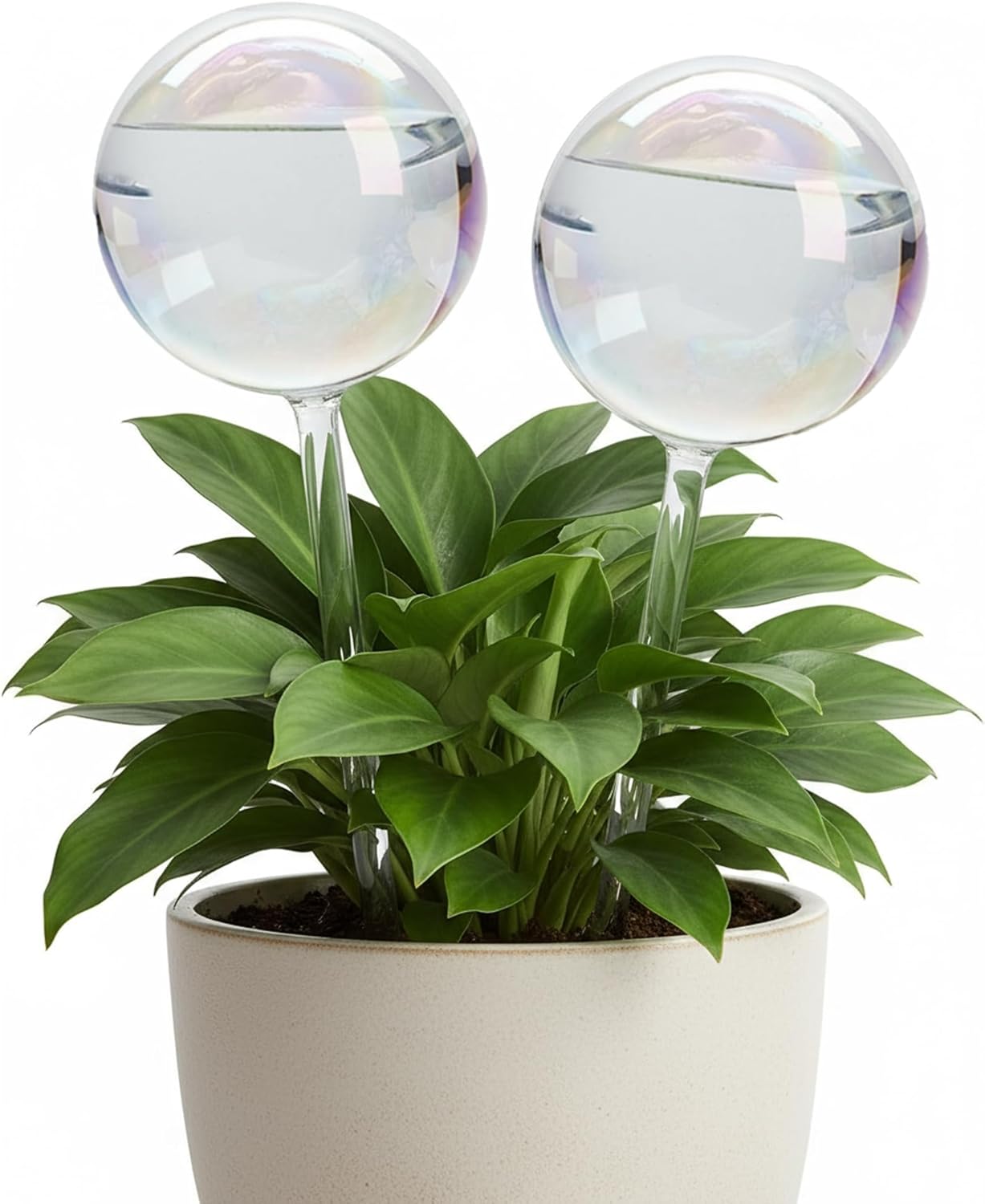 ZhenD Iridescent Self-Watering Plant Globes, Glass Self Watering Planter Insert for Indoor and Outdoor, Automatic Plant Waterer, Hand-Blown Premium Glass – 2 Pack