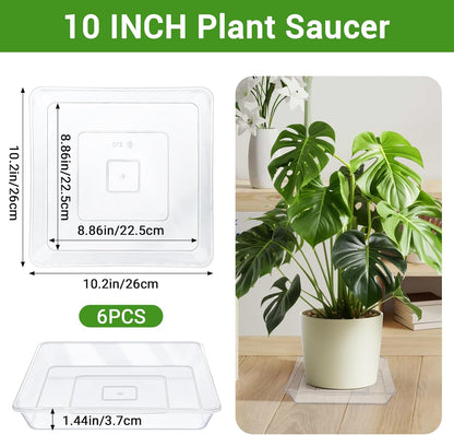 GREANER 10 Inch Large Plant Tray, 6 Packs Square Plant Pot Saucer, Durable Thick Watering Trays for Plants, Plastic Plant Tray for Outdoor Indoor Garden Supplies(Clear)