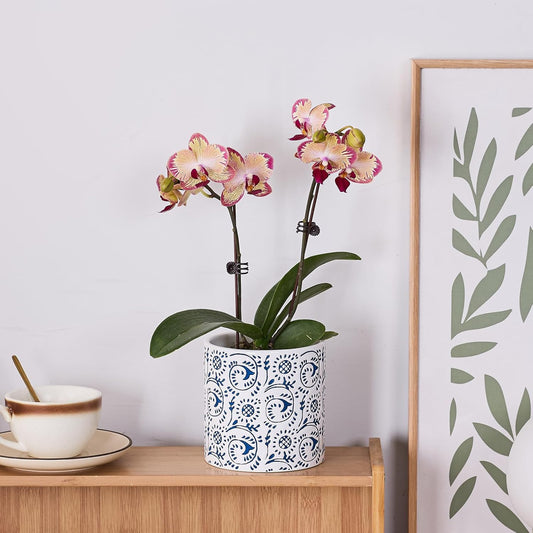 Ceramic Plant Pot for Indoor Plants, 4.7 Inch Blue & White Floral Porcelain Ceramic Decorative Flower Pot with Drainage Holes, Modern Planter for Home & Office Decor